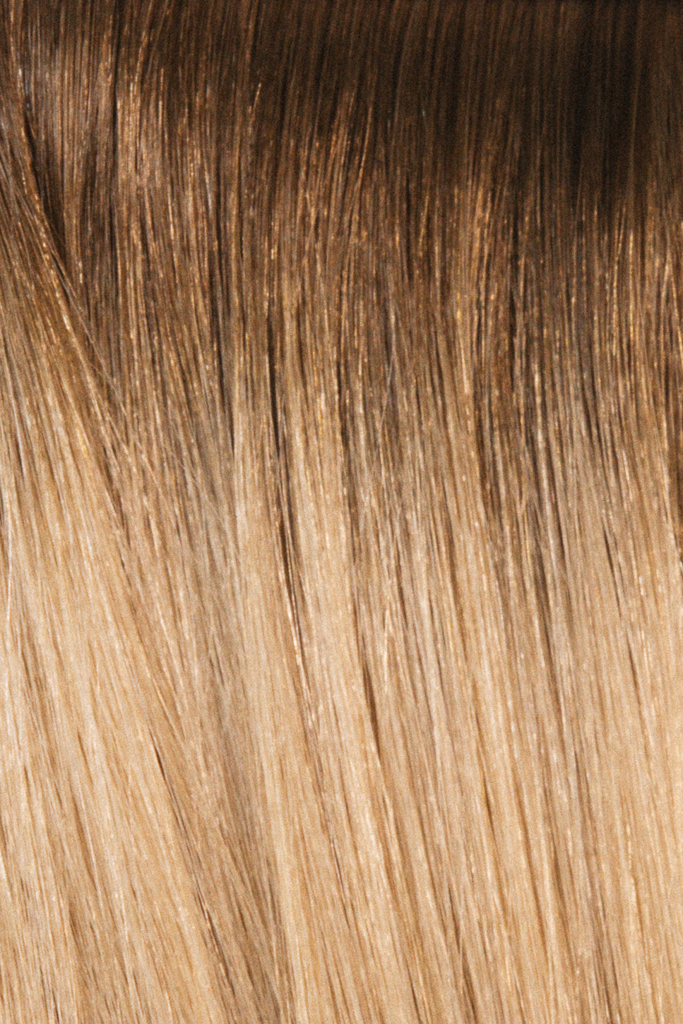 Single Weft
