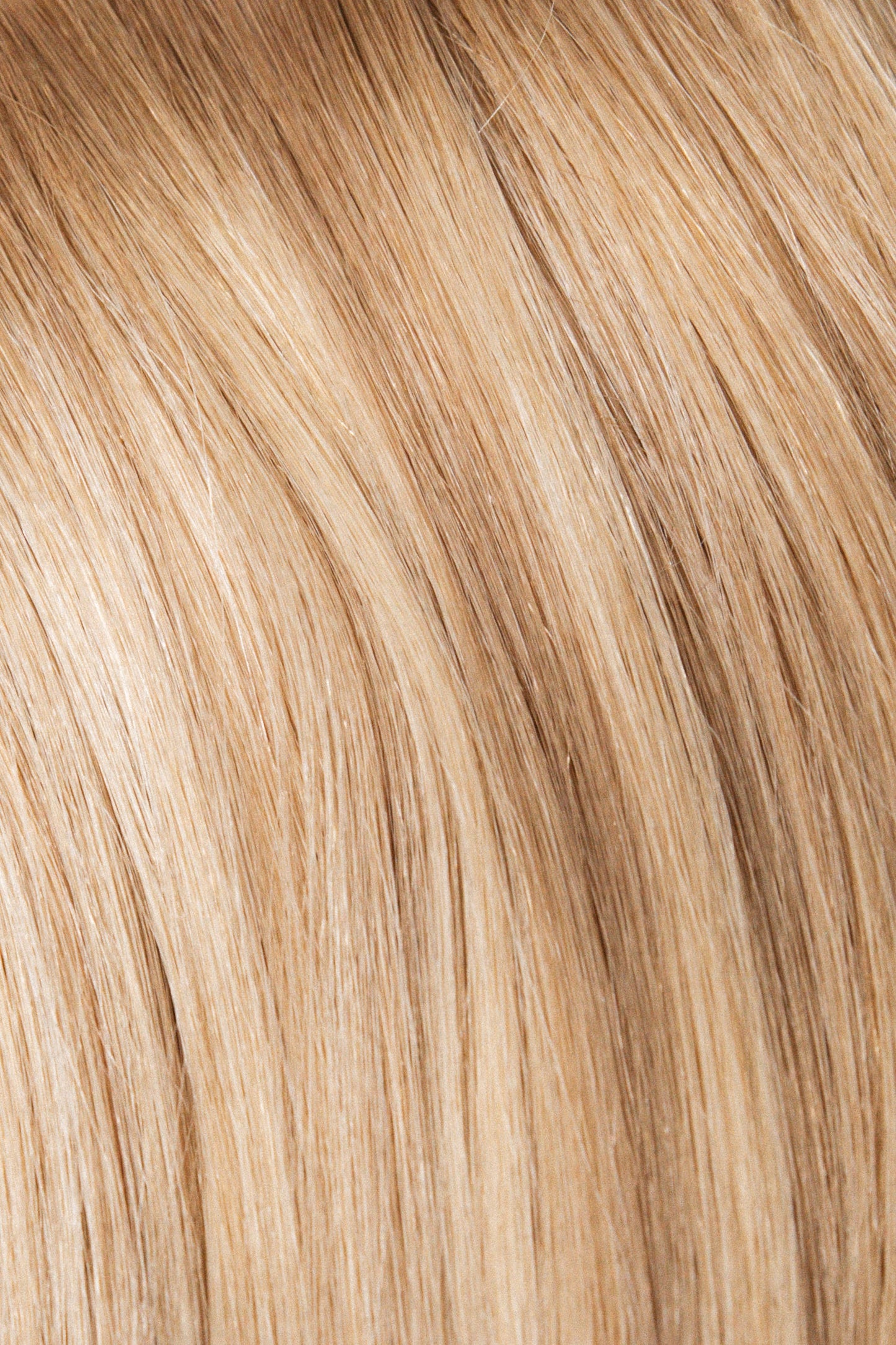 Single Weft